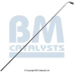 Bm Catalysts Conducta de presiune, senzor de presiune (filtru particule) BM CATALYSTS PP31037A (PP31037A)