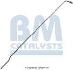 Bm Catalysts Conducta de presiune, senzor de presiune (filtru particule) BM CATALYSTS PP31042A (PP31042A)