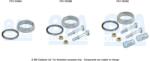 Bm Catalysts Set montaj, filtru funingine/particule BM CATALYSTS FK11049 (FK11049)