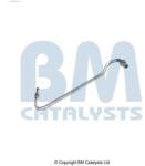 Bm Catalysts Conducta de presiune, senzor de presiune (filtru particule) BM CATALYSTS PP11607A (PP11607A)