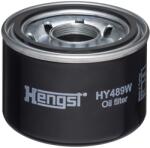 Hengst Filter Filtru, sistem hidraulic primar HENGST FILTER HY489W (HY489W)