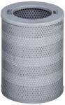 Hengst Filter Filtru, sistem hidraulic primar HENGST FILTER EY890H (EY890H)