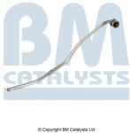 Bm Catalysts Conducta de presiune, senzor de presiune (filtru particule) BM CATALYSTS PP11253A (PP11253A)