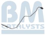 Bm Catalysts Conducta de presiune, senzor de presiune (filtru particule) BM CATALYSTS PP15132B (PP15132B)