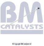 Bm Catalysts Conducta de presiune, senzor de presiune (filtru particule) BM CATALYSTS PP11174A (PP11174A)