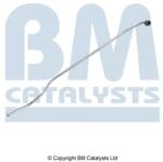 Bm Catalysts Conducta de presiune, senzor de presiune (filtru particule) BM CATALYSTS PP11253B (PP11253B)