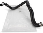 Original Renault Furtun aer supraalimentare ORIGINAL RENAULT 8200730589 (8200730589)