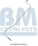 Bm Catalysts Conducta de presiune, senzor de presiune (filtru particule) BM CATALYSTS PP31282B (PP31282B)