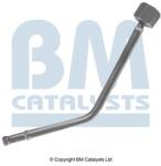 Bm Catalysts Conducta de presiune, senzor de presiune (filtru particule) BM CATALYSTS PP11090A (PP11090A)