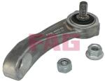Fag Brat/bieleta suspensie, stabilizator FAG 818 0601 10 (818 0601 10)
