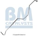 Bm Catalysts Conducta de presiune, senzor de presiune (filtru particule) BM CATALYSTS PP11029B (PP11029B)