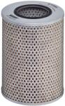 Hengst Filter Filtru, sistem hidraulic primar HENGST FILTER EY59H (EY59H)