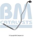 Bm Catalysts Conducta de presiune, senzor de presiune (filtru particule) BM CATALYSTS PP31282A (PP31282A)