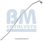 Bm Catalysts Conducta de presiune, senzor de presiune (filtru particule) BM CATALYSTS PP11208B (PP11208B)