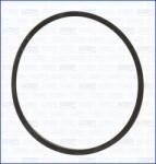 AJUSA Garnitura, flansa lichid racire AJUSA 24028600 (24028600)
