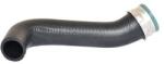 BUGIAD Furtun aer supraalimentare BUGIAD 82650 (82650)