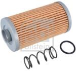Febi Bilstein Filtru, sistem hidraulic primar FEBI BILSTEIN 182441 (182441)