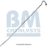 Bm Catalysts Conducta de presiune, senzor de presiune (filtru particule) BM CATALYSTS PP11085A (PP11085A)