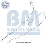 Bm Catalysts Conducta de presiune, senzor de presiune (filtru particule) BM CATALYSTS PP11091C (PP11091C)