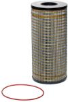 Hengst Filter Filtru, sistem hidraulic primar HENGST FILTER EY892H D393 (EY892H D393)
