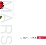  30 Seconds To Mars - A Beautiful Lie - LP, Album, RE