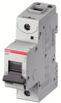 ABB 2CCS861001R0161 S801S kismegszakító, 1 pólusú, D karakterisztikájú, 16 A, 50 kA (2CCS861001R0161)