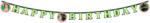  Wicked For Good Happy Birthday felirat 200 cm FSC (PNN98291) - sandori