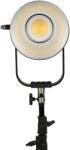 NanLite Iluminare cu diode NanLite - Forza 500B II Bi-Color (12-2046)