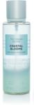 Victoria's Secret Coastal Blooms, 250 ml