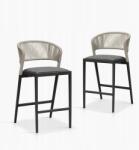  Bárszék 2 db alumínium és rattan szürke Purple Leaf (B0CMH47M1J)