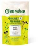 GERMLINE Varza rosie seminte pentru germinat bio 100g Germline