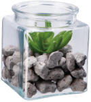 AdTrend Aranjament plante suculente si piatra III 10 x 10 x 13 cm (114091C)