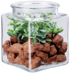 AdTrend Aranjament plante suculente si piatra 10 x 10 x 13 cm (114091A)