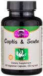 Dragon Herbs Coptis & Scute, 100 капсули, Dragon Herbs (004284 (428) DH)