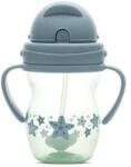 LORELLI Cana cu manere si pai, anti-varsare, potrivita pentru calatorii, 12 luni+, 275 ml, Blue Green (1023060 0004)