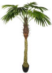 Atmosphera Créateur d'intérieur Palmier artificial decorativ cu ghiveci Atmosphera, 180 cm, verde (JJ-164253)