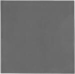 Thermal Grizzly Pad termic Thermal Grizzly Minus Pad Extreme 2, 100 x 100 x 0.5 mm (TG-MP-E2-100-100-05)