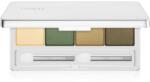 Clinique All About Shadow Quad paletă cu farduri de ochi culoare On Safari - Shimmer 3.3 g