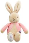 Rainbow Designs Jucărie de pluș pentru bebeluși Rainbow Designs - Iepuraș Flopsy, 21 cm (25014475012265)