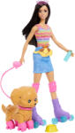Mattel Barbie, Patinaj cu role, papusa bruneta si catelus, set de joaca Papusa Barbie