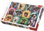 Trefl PUZZLE TREFL 1000 PORTRET CATELUSI SIMPATICI (VIVA-10462) Puzzle