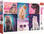 Trefl PUZZLE TREFL 1000 SUPER PISICI NEON (VIVA-10581) Puzzle
