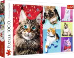 Trefl PUZZLE TREFL 1000 PISICUTE FERICITE (VIVA-10591) Puzzle