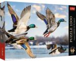 Trefl PUZZLE TREFL 1000 PREMIUM PLUS RATE SALBATICE IN ZBOR (VIVA-99278) Puzzle
