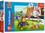 Trefl PUZZLE TREFL 30 PATRULA CATELUSILOR CATEI IN ACTIUNE (VIVA-18306) Puzzle