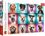 Trefl PUZZLE TREFL 2000 CATELUSII AMUZANTI (VIVA-27119) Puzzle