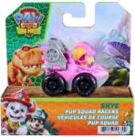 PAW Patrol Mini vehicul cu figurina, Paw Patrol the Dino Movie, Pup Squad Racers, Skye, 20157139