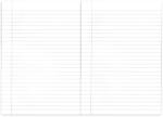 Herlitz Caiet A5, 48 file, HERLITZ Megamix dictando