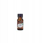 CosmoSPA Természetes illóolaj szaunázáshoz és aromaterápiához Fahéj 10 ml 09/2026 (5908220420392)