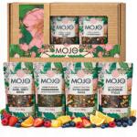 MOJO TEA Tea szett Különböző 6 féle gyümölcs íz egy dobozban Ajándék (11532)
